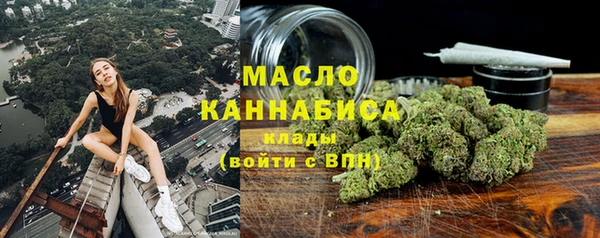 молекула духа Коряжма