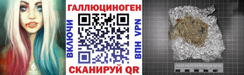 Псилоцибиновые грибы Psilocybe  закладки  Тогучин 