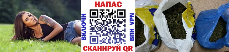 Конопля SATIVA & INDICA  купить наркотик  Тогучин 